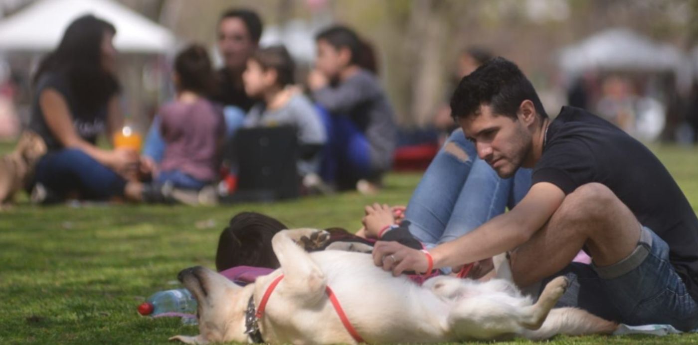 1537555774192.jpeg?y=196&width=1263&rotate=0&ow=1280&oh=853&x=6&height=631&scaleX=1&scaleY=1&&cw=1920&ch=950