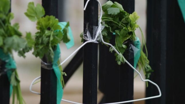 preocupacion por la demora en el tratamiento de la creacion de consejerias en salud sexual