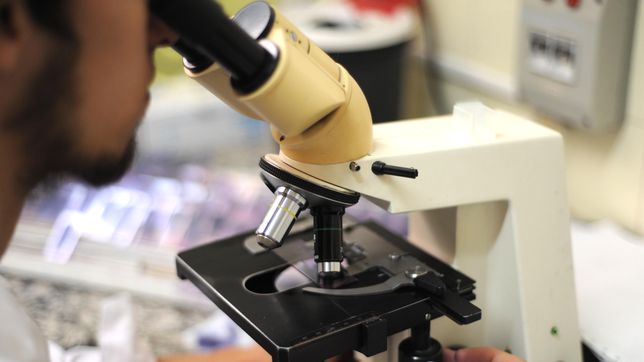 medicos bonaerenses advierten por el aumento de las enfermedades de transmision sexual