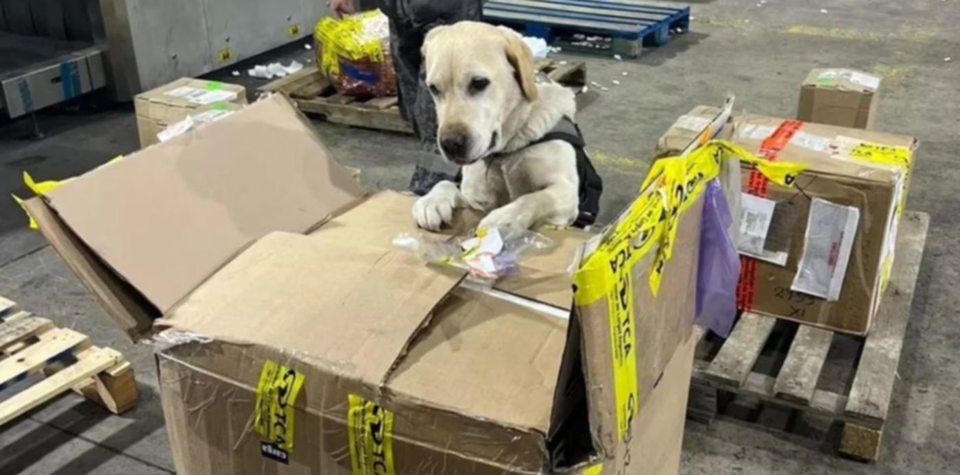 1673815460954.jpg?x=7&y=146&width=978&height=489&rotate=0&scaleX=1&scaleY=1&ow=992&oh=744&&cw=1920&ch=950