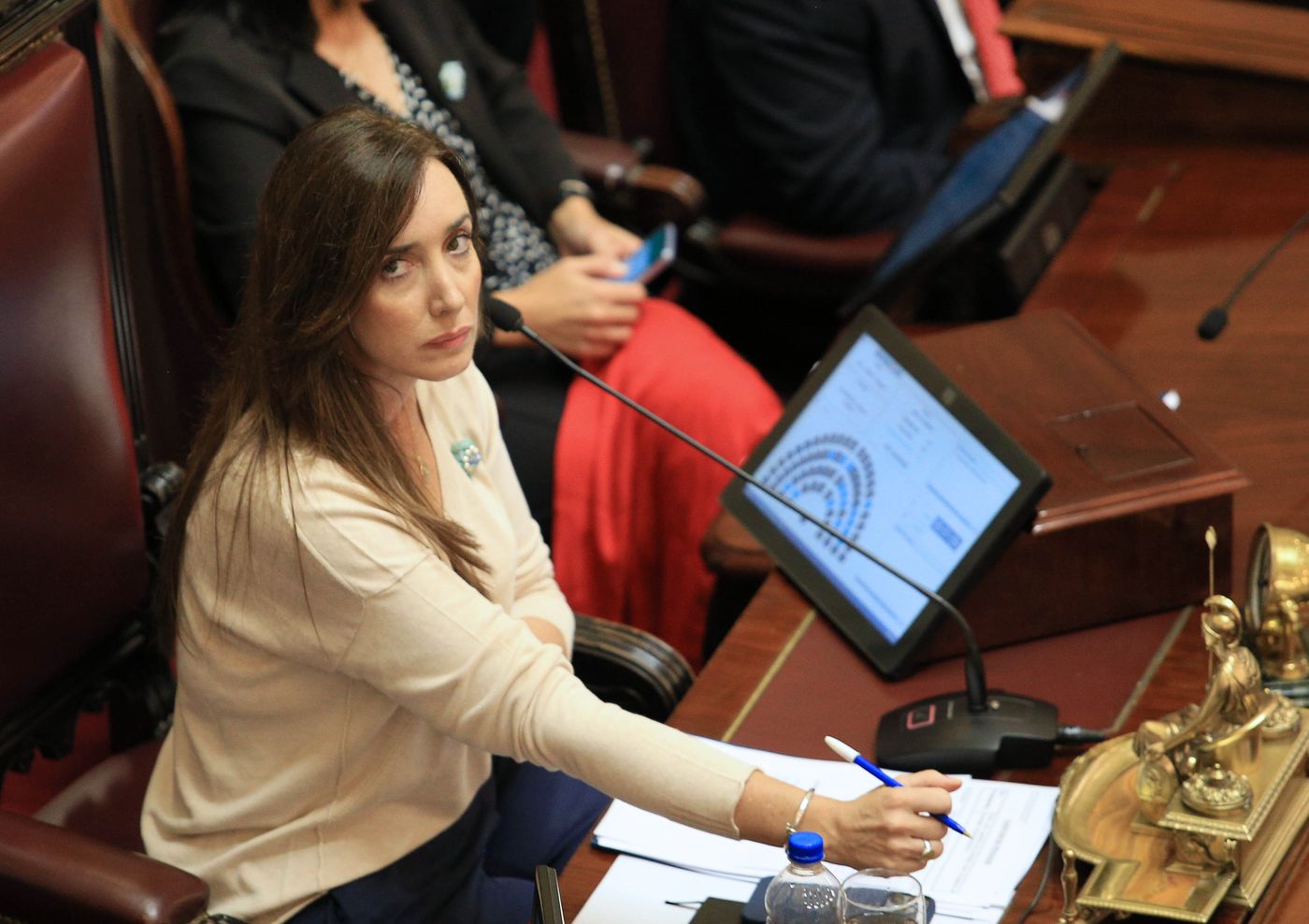Victoria Villarruel Senado.jpg