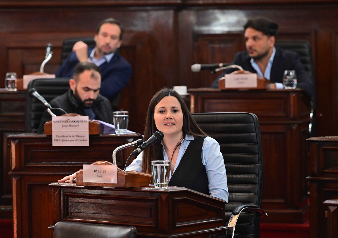 La concejala del PRO Lucía Barbier es la autora del proyecto para reemplazar los plátanos en La Plata