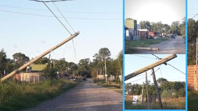 cortes de cables y postes caidos: siguen los reclamos contra edelap despues del temporal