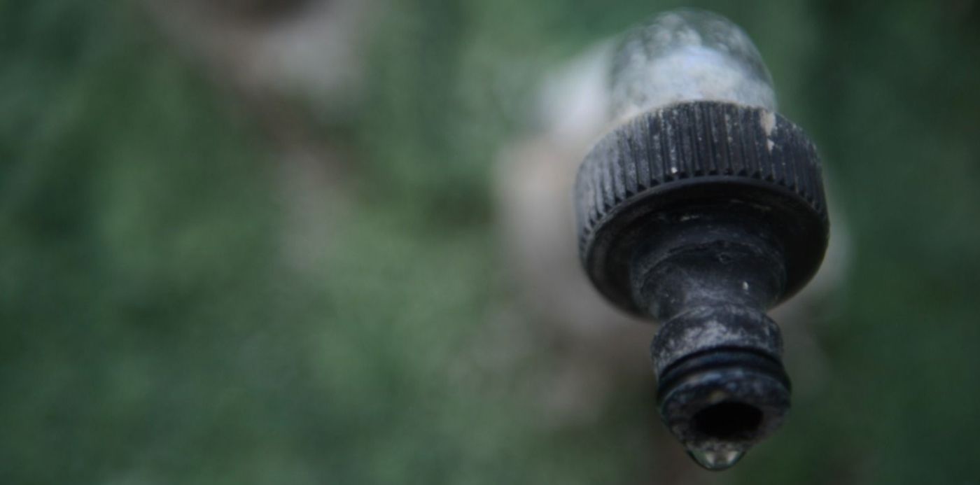 1580776083484.jpg?x=21&y=175&width=1465&height=733&rotate=0&scaleX=1&scaleY=1&ow=1500&oh=996&&cw=1920&ch=950