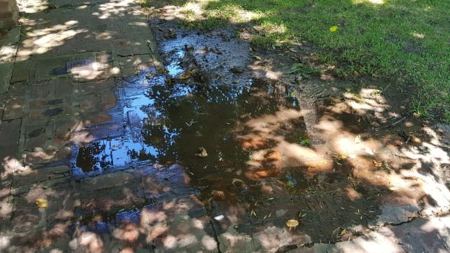 falta de agua, perdidas y turbiedad: una catarata de reclamos contra absa en la plata
