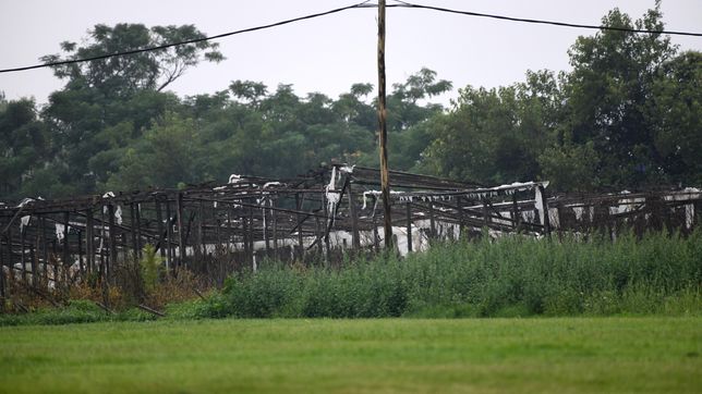 le fracturaron el brazo a un quintero de la plata en un violento robo armado