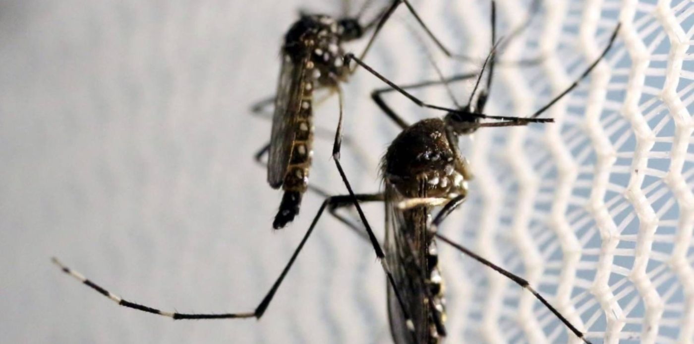 1582765968483.jpg?x=3&y=107&width=1474&height=737&rotate=0&scaleX=1&scaleY=1&ow=1464&oh=976&&cw=1920&ch=950