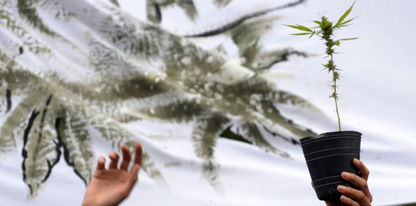 1556391549503.jpg?scaleY=1&x=7&y=236&width=1486&height=743&rotate=0&scaleX=1&ow=1500&oh=1071&&cw=1920&ch=950