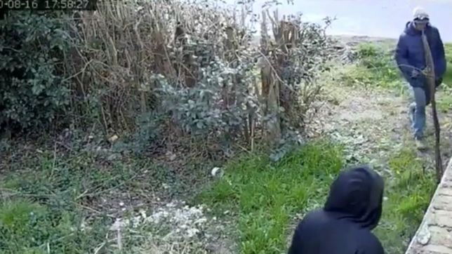 video: entraron a robar a una casa de la plata, el dueno los vio y los termino echando