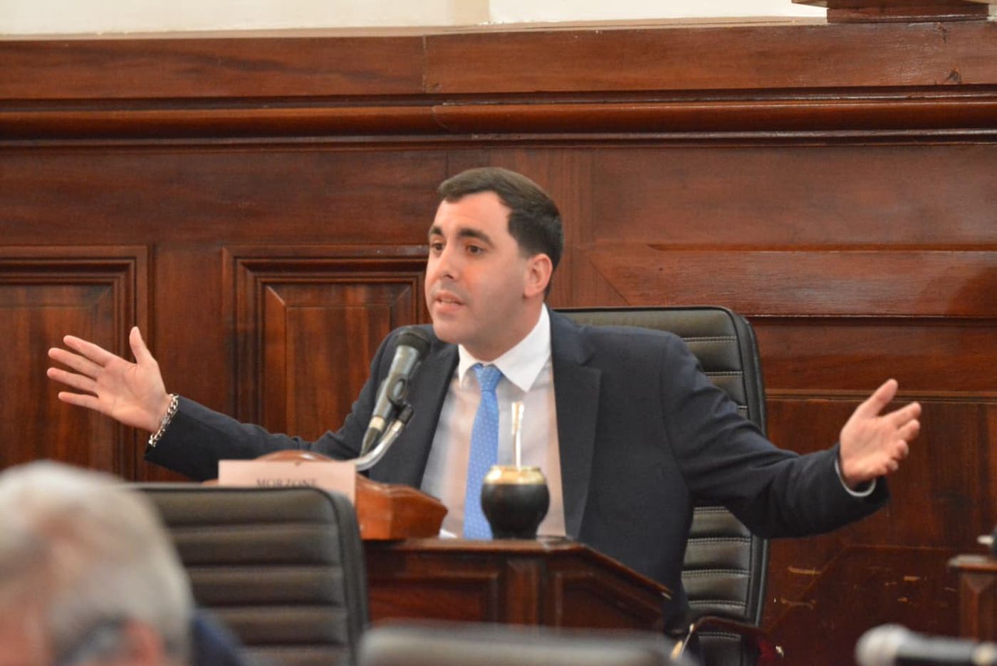 El presidente del bloque del PRO, Nicol&aacute;s Morzone, es el autor del proyecto