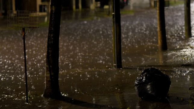 alerta amarillo en la plata: todas las recomendaciones ante la llegada de nuevas tormentas