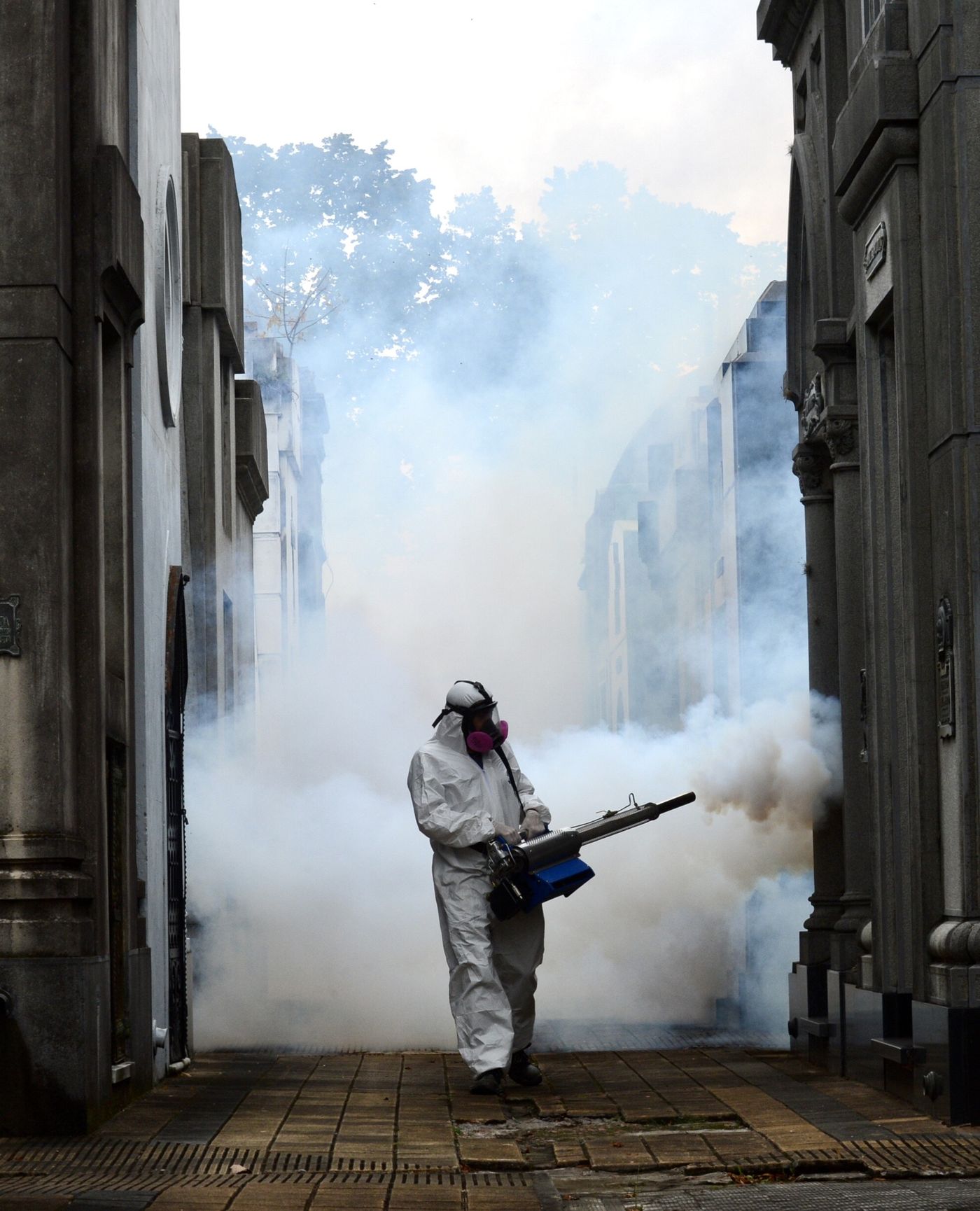 Siguen las tareas de fumigación para hacerle frente a la invasión de mosquitos en La Plata. Siguen las tareas de fumigación para hacerle frente a la invasión de mosquitos en La Plata.