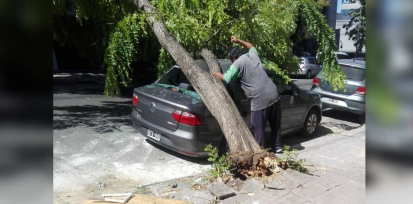 1582730448139.jpg?oh=650&x=16&width=1294&height=647&rotate=0&scaleX=1&scaleY=1&ow=1350&y=0&&cw=1920&ch=950