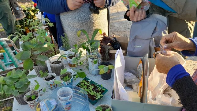 con talleres, charlas y hasta una feria agroecologica, llega un nuevo encuentro de intercambio de semillas en la plata