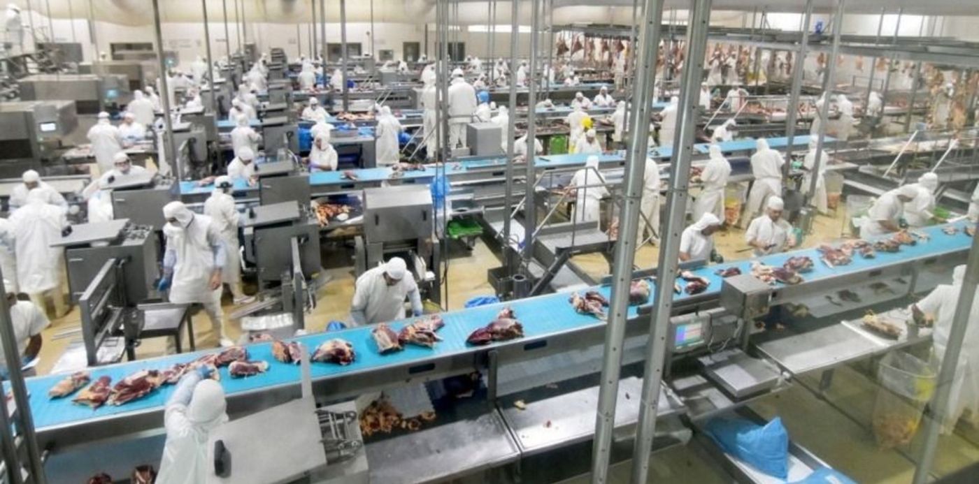 1573306456400.jpg?rotate=0&scaleX=1&ow=880&oh=495&scaleY=1&x=0&y=50&width=880&height=440&&cw=1920&ch=950