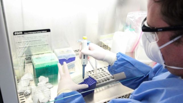 ¿cual es la clave que podria frenar el avance del covid-19 en celulas humanas?