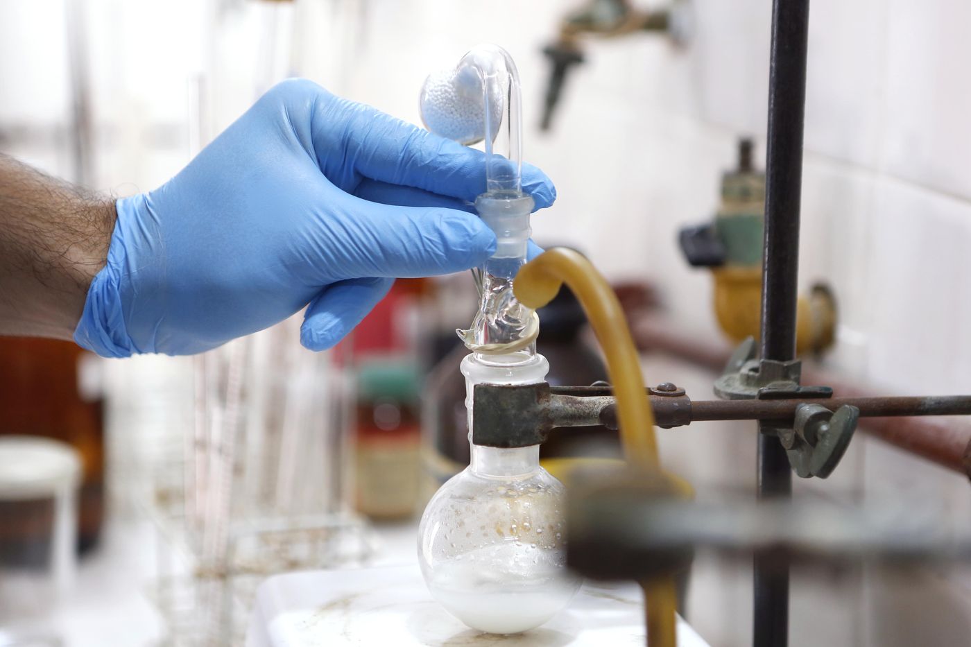 Científicos investigadores UNLP (12).jpg