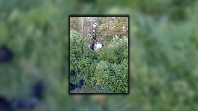 una familia cayo a un arroyo con su auto y fue rescatada por penitenciarios que pasaban por la zona