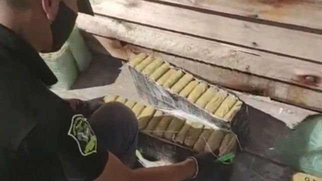 incautaron mas de 200 kilos de marihuana durante el operativo guarida verde en la plata