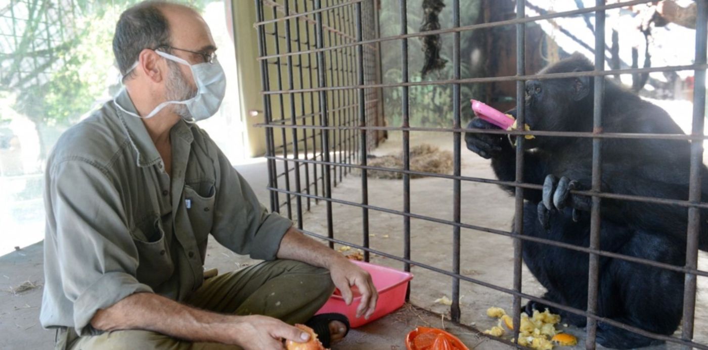 1585009214955.jpg?x=4&y=139&width=1493&height=746&rotate=0&scaleX=1&scaleY=1&ow=1500&oh=998&&cw=1920&ch=950