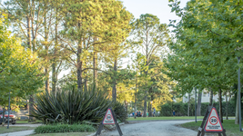 golpes, amenazas y robo: asi fue el ataque comando en fincas de duggan de la plata golpes, amenazas y robo: asi fue el ataque comando en fincas de duggan de la plata