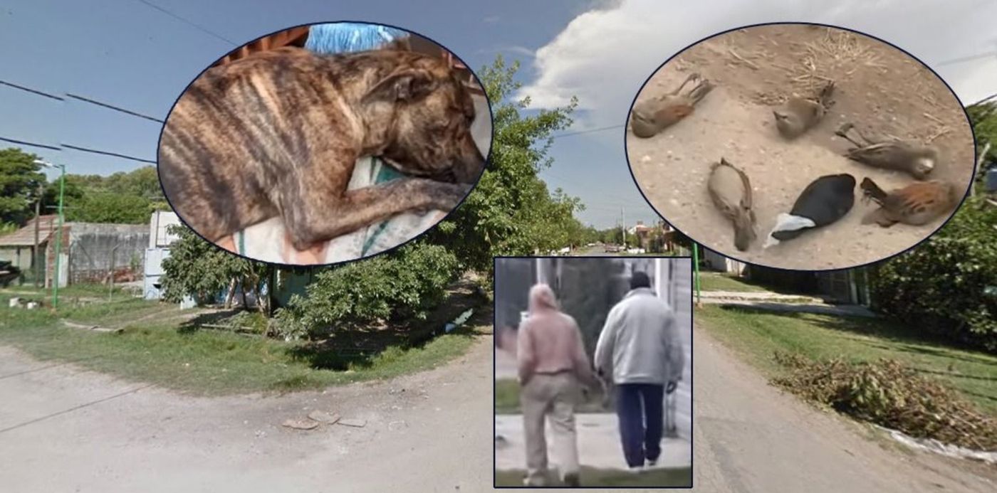 1597029834942.jpg?x=0&y=40&width=1069&height=535&rotate=0&scaleX=1&scaleY=1&ow=1069&oh=577&&cw=1920&ch=950