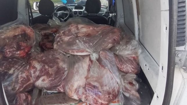 secuestraron mas de 500 kilos de carne en dudoso estado que planeaban vender en la region