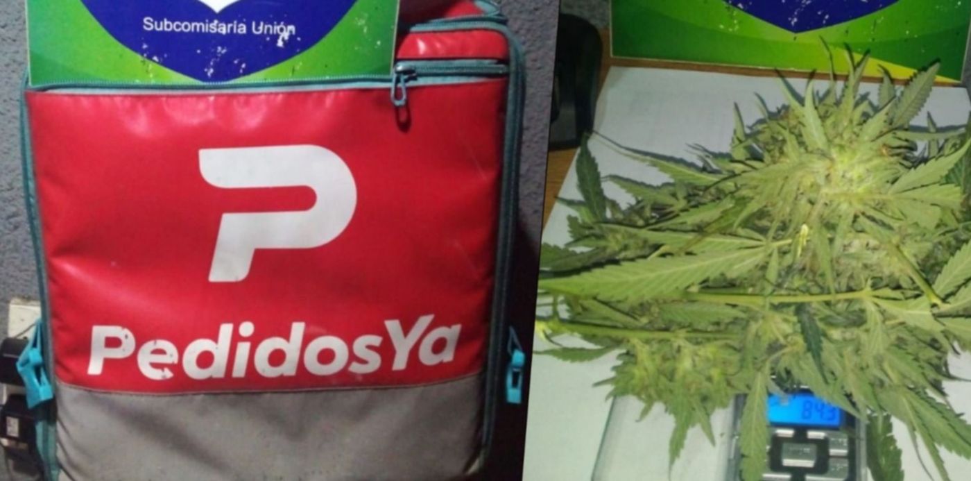 1649942087032.jpg?x=22&y=0&width=1468&height=734&rotate=0&scaleX=1&scaleY=1&ow=1500&oh=745&&cw=1920&ch=950