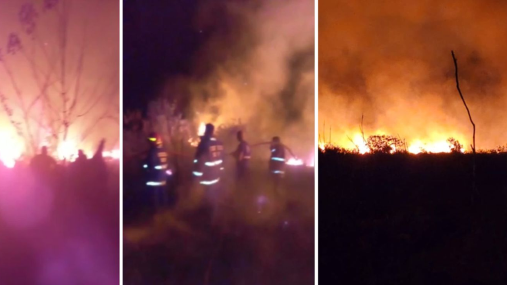 VIDEO: Desde adentro, así se vivió el impresionante incendio que alarmó a La Plata