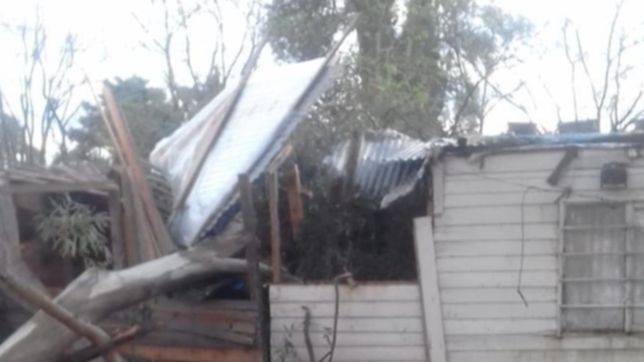 un arbol cayo sobre una casa, la familia se salvo de milagro pero necesita ayuda