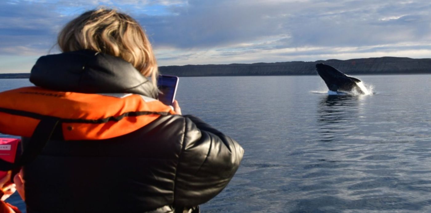 1626907148243.jpg?x=4&y=147&width=1492&height=746&rotate=0&scaleX=1&scaleY=1&ow=1500&oh=1000&&cw=1920&ch=950