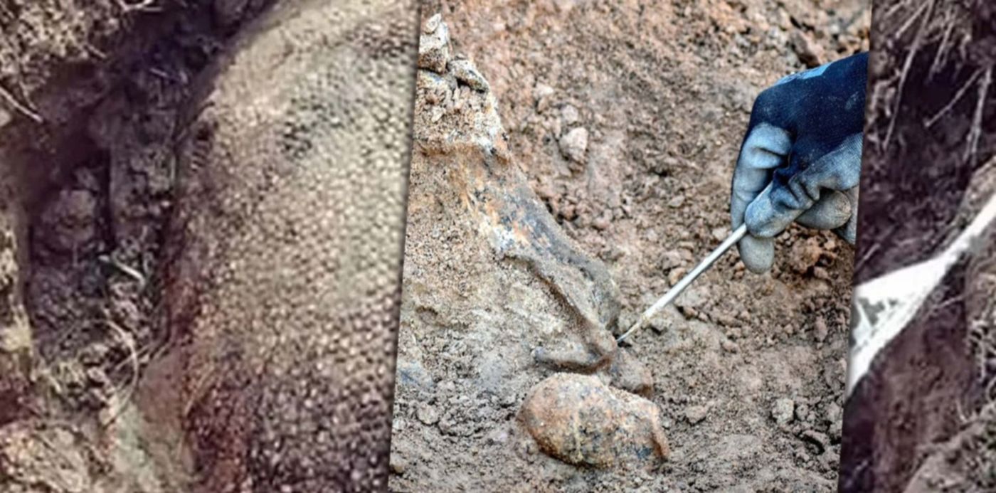 1679672603917.jpg?&cw=1920&ch=950