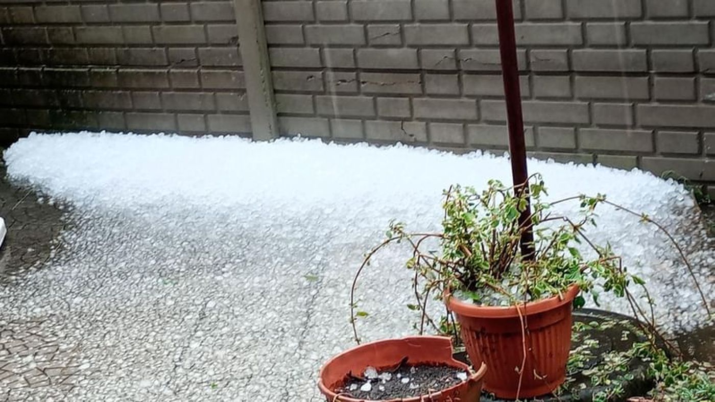 WhatsApp Image 2024-03-19 at 19.46.14.jpeg