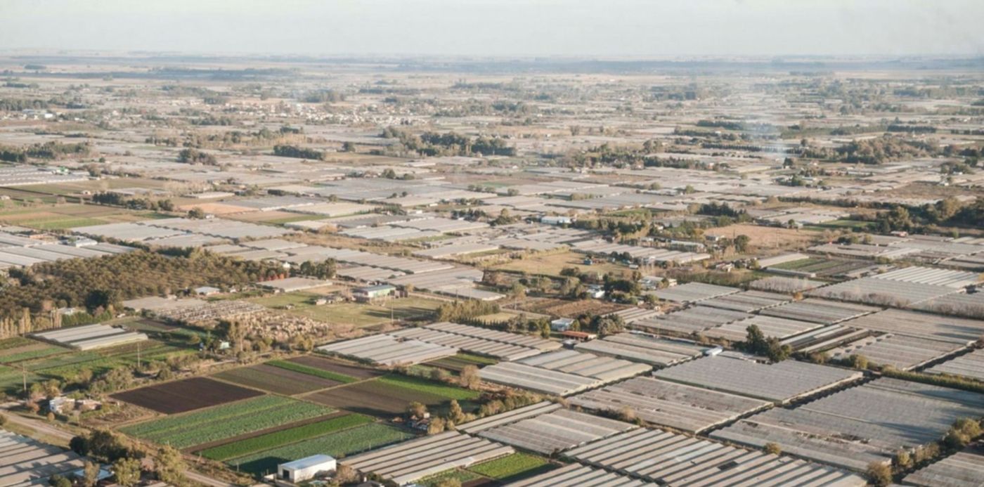 1557317731746.jpg?x= 16&y=0&width=1532&height=766&rotate=0&scaleX=1&scaleY=1&ow=1500&oh=998&&cw=1920&ch=950