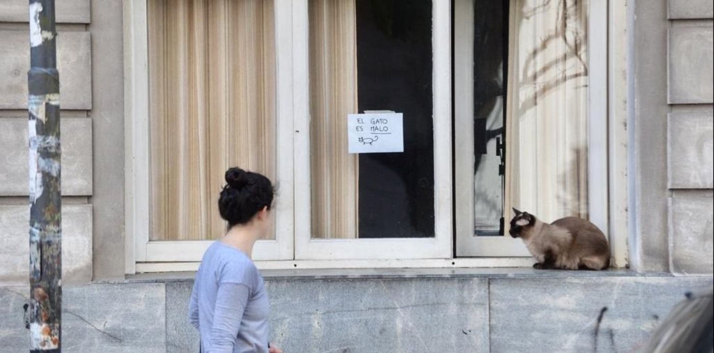 1537461023399.jpeg?width=1023&height=511&rotate=0&ow=1024&oh=576&x=1&y=65&scaleX=1&scaleY=1&&cw=1920&ch=950