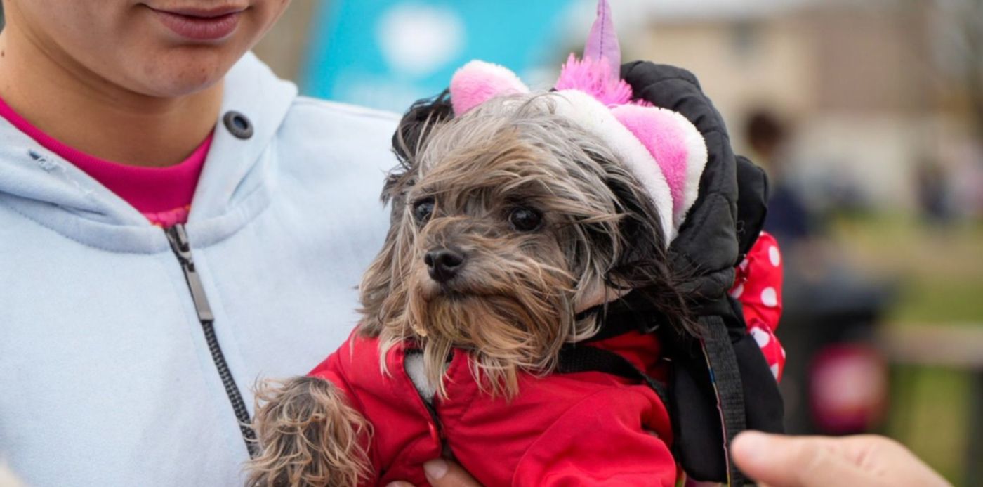 1690230551744.jpg?x=3&y=8&width=1494&height=747&rotate=0&scaleX=1&scaleY=1&ow=1500&oh=843&&cw=1920&ch=950