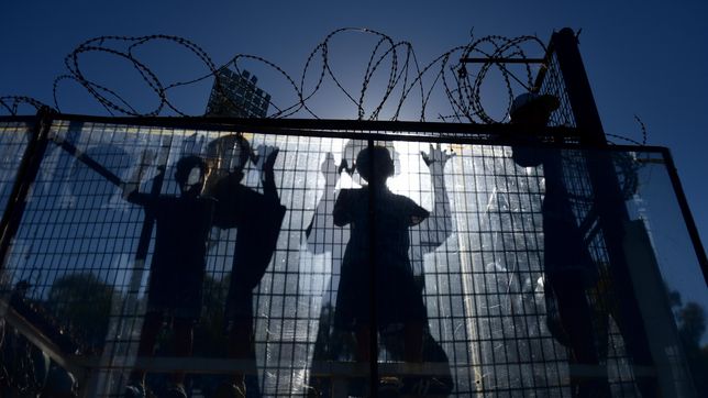 el cine sigue en el bosque con una atrayente propuesta