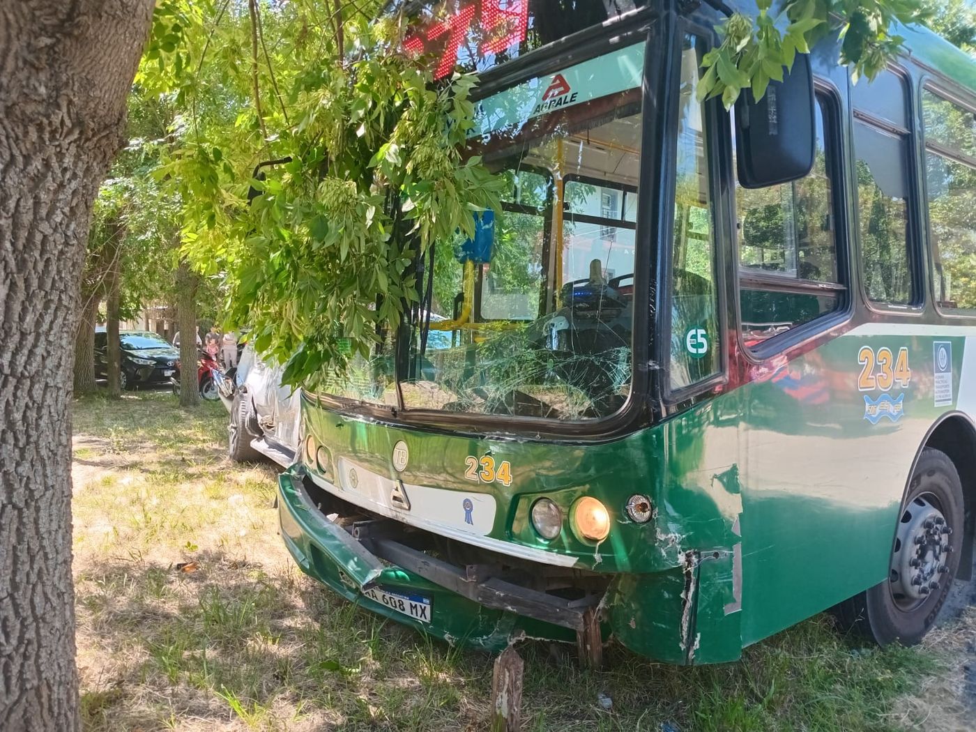 Un micro de la línea 275 estuvo involucrado en el choque que generó preocupación en Punta Lara Un micro de la línea 275 estuvo involucrado en el choque que generó preocupación en Punta Lara