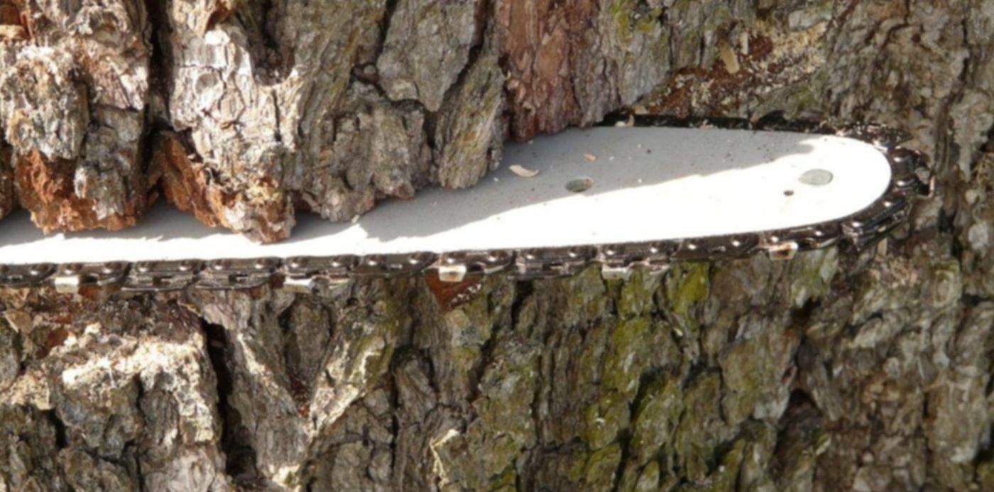 1613732442309.jpg?x=3&y=179&width=1019&height=509&rotate=0&scaleX=1&scaleY=1&ow=1024&oh=768&&cw=1920&ch=950