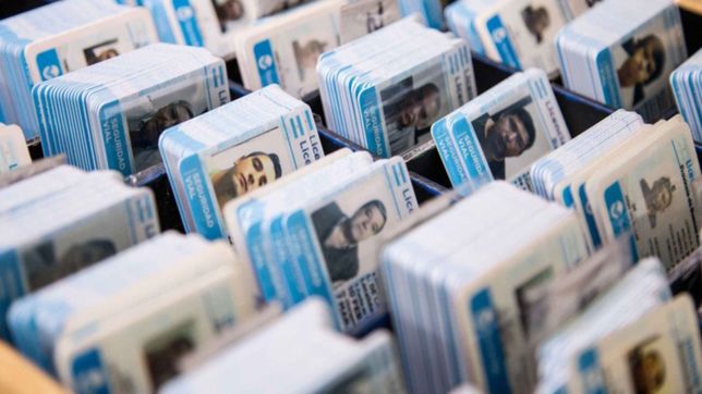 aumenta el tramite para renovar las licencias en la plata: ¿cuanto saldra y desde cuando?