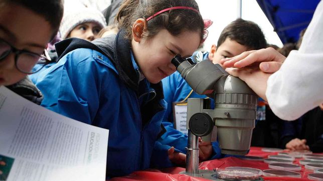 alumnos de la plata, berisso y ensenada expondran experimentos en plaza malvinas