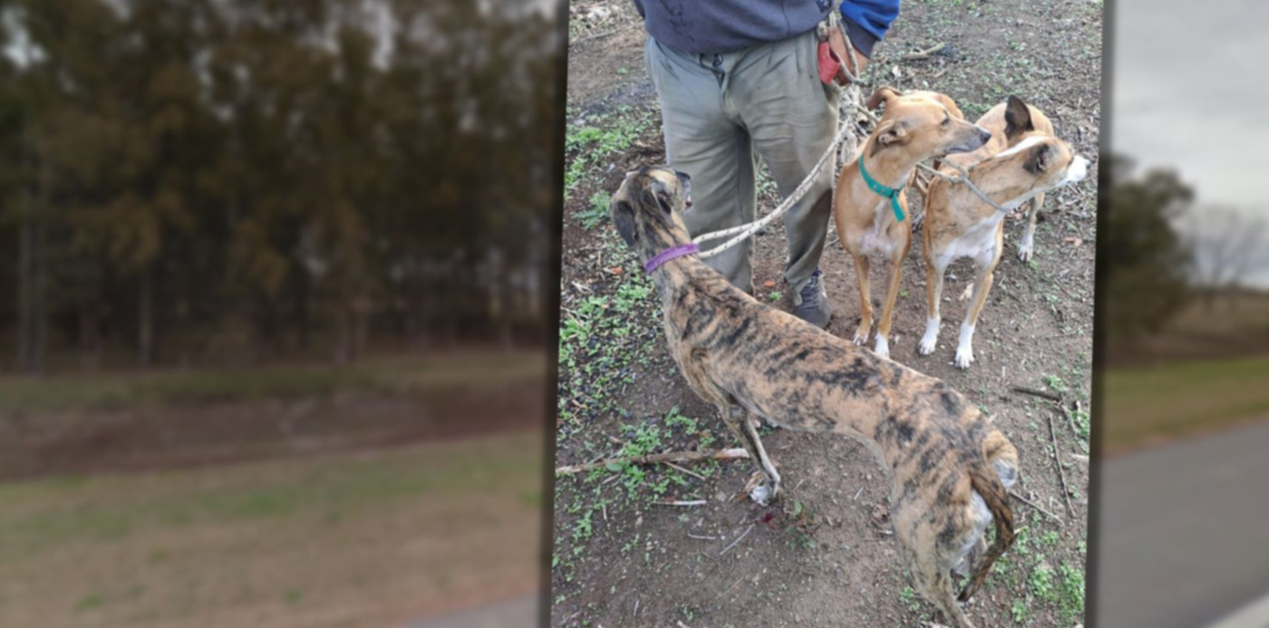 1681333987765.jpg?x=25&y=2&width=1469&height=735&rotate=0&scaleX=1&scaleY=1&ow=1500&oh=742&&cw=1920&ch=950