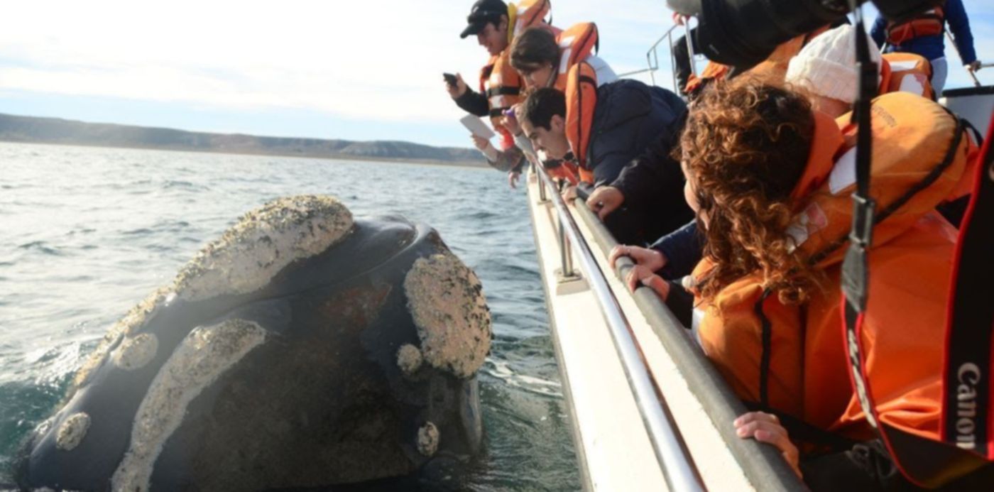 unnamed (69) - Vacaciones de Invierno, Agenda Vacaciones de Invierno, Puerto Madryn,