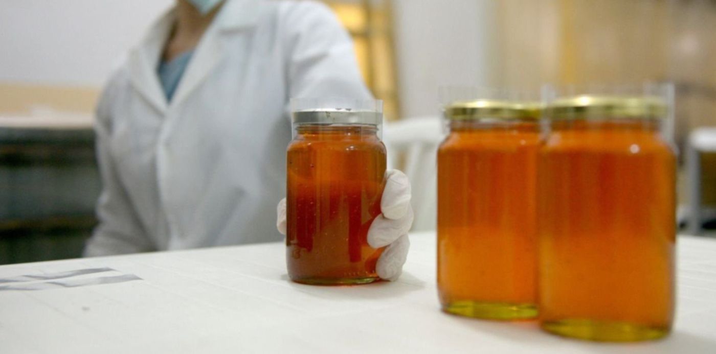 1558443816045.jpg?x=11&y=237&width=1487&height=744&rotate=0&scaleX=1&scaleY=1&ow=1500&oh=1001&&cw=1920&ch=950