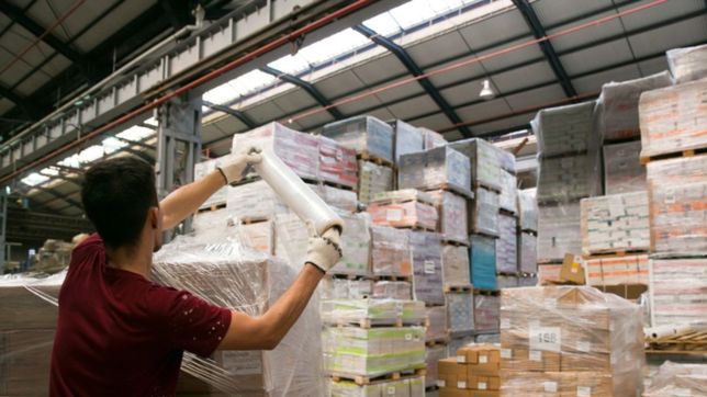 las escuelas publicas platenses recibiran 46 mil libros de texto
