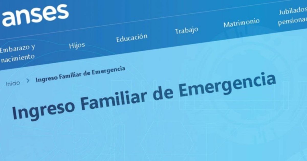 Uno por uno: todos los pasos para anotar los datos en ANSES y cobrar el ...