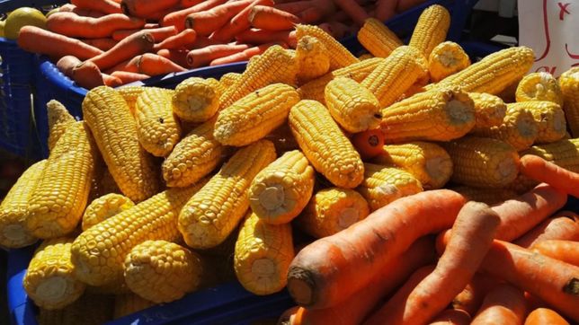 entraron a una verduleria de la plata, golpearon a los empleados y escaparon con la recaudacion
