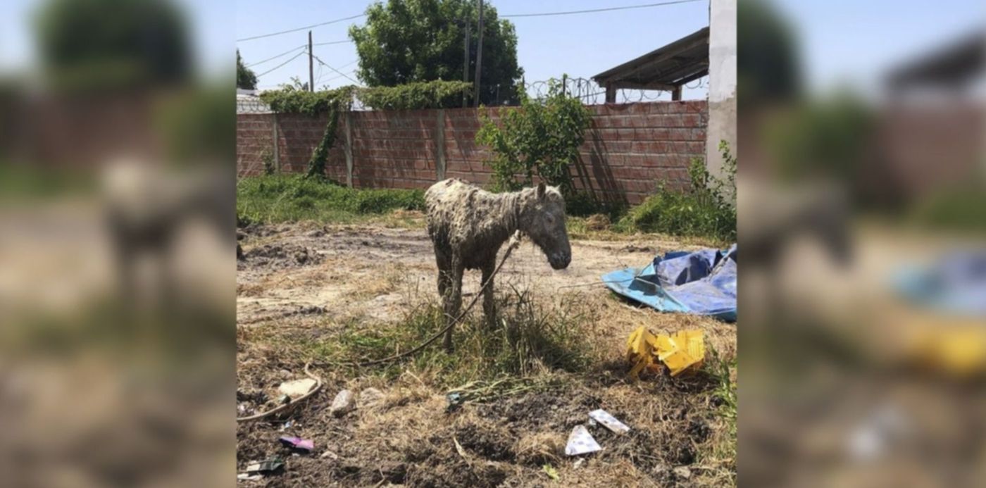 1637716930311.jpg?x=23&y=7&width=1454&height=728&rotate=0&scaleX=1&scaleY=1&ow=1500&oh=742&&cw=1920&ch=950