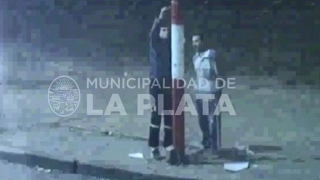 video: asi fue como pintaron arboles y postes de luz con los colores de estudiantes