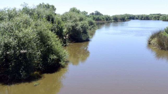 la oposicion pide conformar un comite para la preservacion del arroyo el pescado
